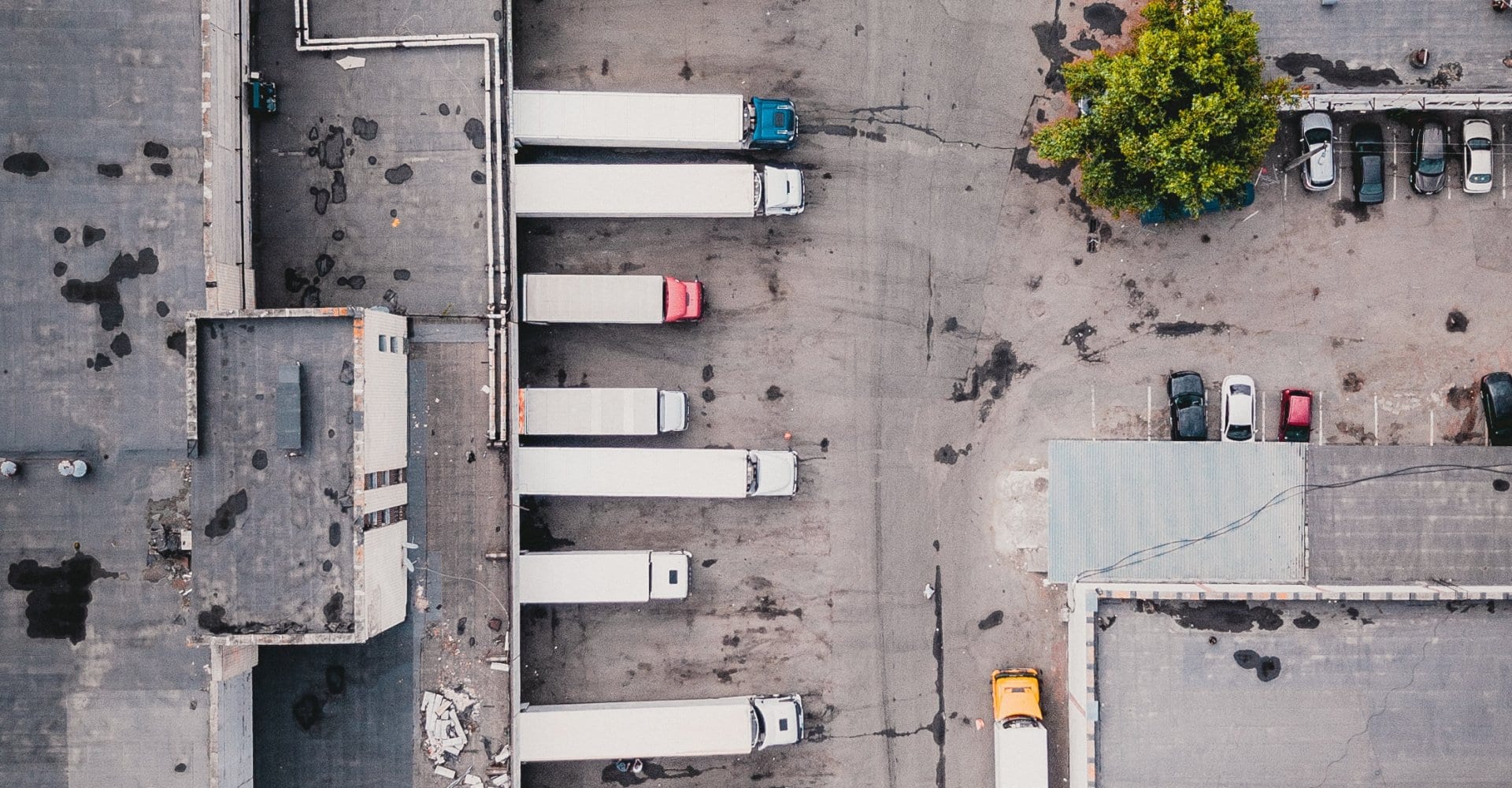 Cargonexx bringt Unternehmen und leere LKW zusammen