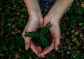 Erneuerbare Energien und E-Mobilität: Das steckt dahinter