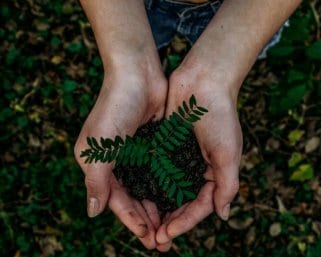 Erneuerbare Energien und E-Mobilität: Das steckt dahinter