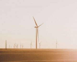 Dieses Berliner StartUp wird Emissionen los