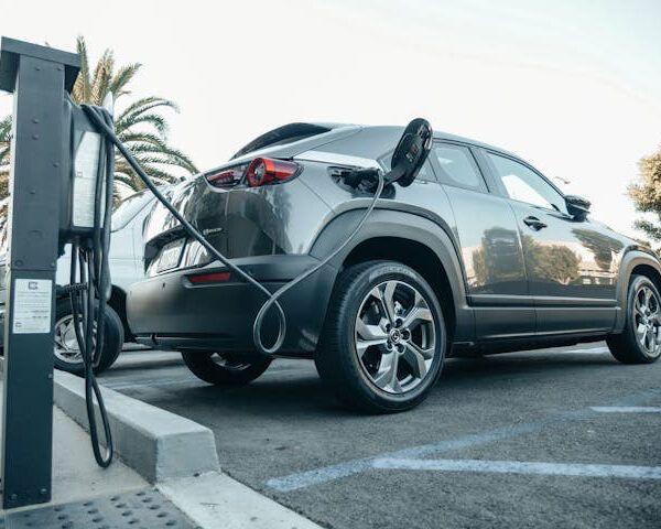 E-Kennzeichen für Elektroautos: Alles, was du wissen musst E-Kennzeichen für Elektroautos: Alles, was du wissen musst